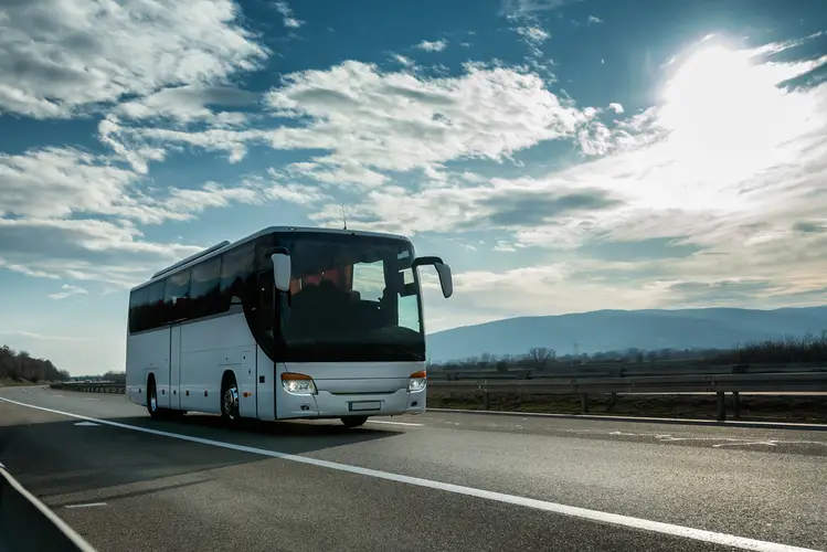 Bus