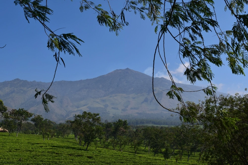 Gunung Arjuno