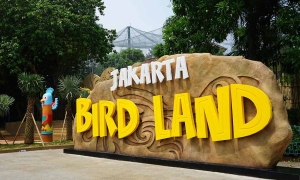 Jakarta Bird Land