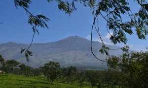 Gunung Arjuno